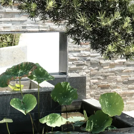 Park Su Qidu Homestay (Yulong River Branch of Shili Gallery)