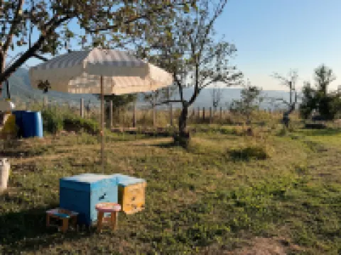 Taipa Tam Eco Farm Hotels in 