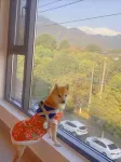 타운 산수 메모리 홈스테이 - 마운틴 뷰