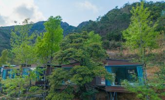 Xinfeng Lingnan maple leaves World