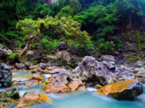 Phong Nha Ecolodge Homestay & Tours - Mountain View Hotels in Son Trach