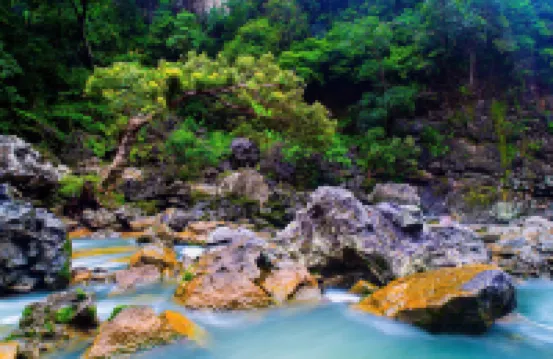 Phong Nha Ecolodge Homestay & Tours -  Mountain View