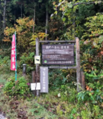 wood inn daimaru
