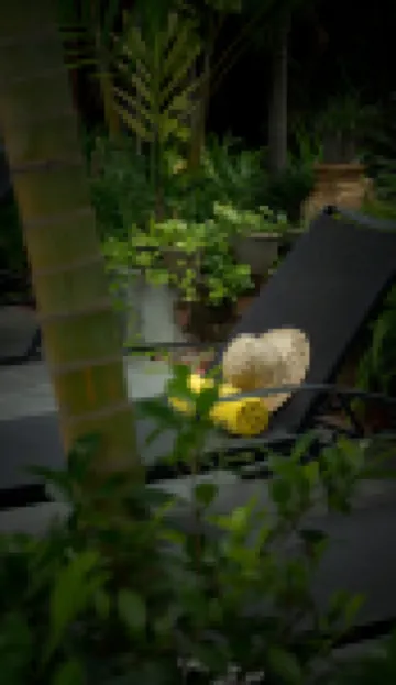 Green Morodoc Garden Hotel 塔普爾村酒店