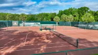 Saddlebrook Resort - Gym
