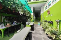 MilVir Tourist Inn El Nido near Beach