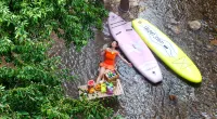 Changzhou Maoshan Forest World Camping Base - Bergblick