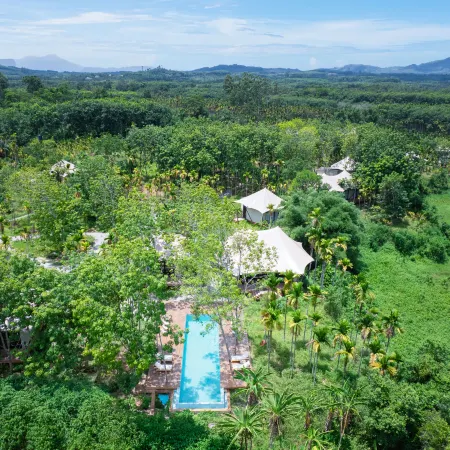 WILDRETREAT • POLIN RICE VALLEY