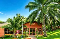 Perfect Forest Eco-Resort - 酒吧