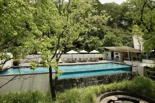 Suyab Mountain Encounter - Infinity Pools
