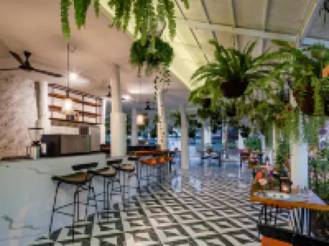 H Flora Hotel Hotels in Chiang Mai