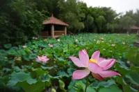 Bamboo River Resort Các khách sạn ở Dương Sóc