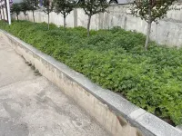 Xinzhan Hotel (Xining Datong West Railway Station) Hotels in Datong