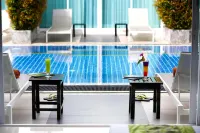 The Palmery Resort - bar