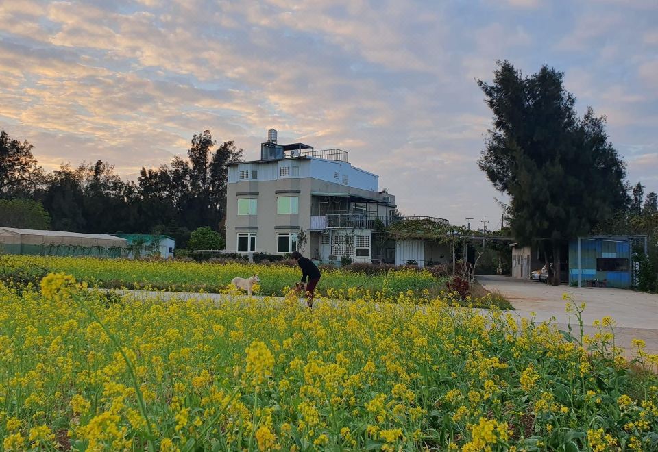 진먼 조식 서비스