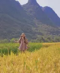 BambooDragon Hotels in Yangshuo