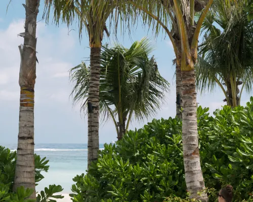 SO/ Maldives Экстерьер Photos