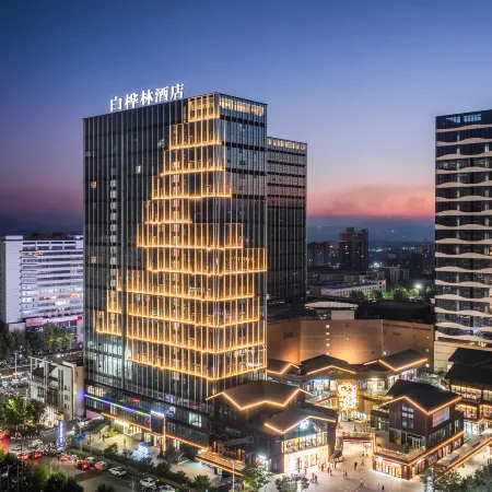 Xinmi White Birch Forest Hotel (Zhongqiang Lightyear City Plaza)