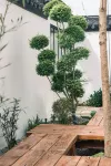 Guan Shan·Xu SHAN Homestay - Dağ Manzaralı