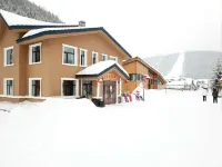 Lao Dongbei Inn (Xuexiang National Forest Park Store)