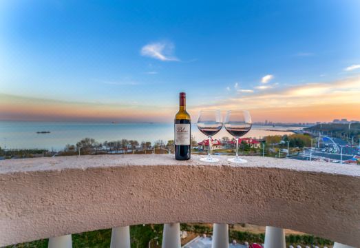 안타이 부에나 비스타 걸프 호텔