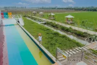 Bibi Penguin Family Homestay - Pools