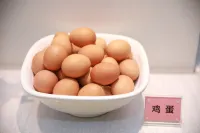 Huachen Hotel Hotels in Lanzhou