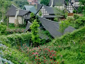 Top 4 Premium Hotels in Ya'an