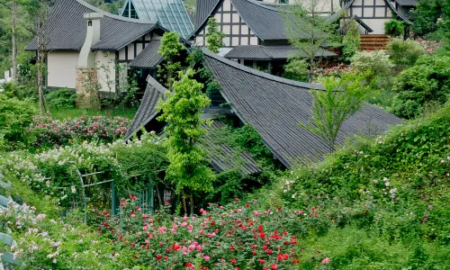 AlorValley