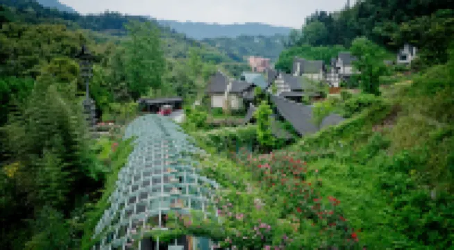 雅安十里芳菲·野玫瑰温泉村落