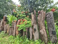 Villa Romduol Hotels in Boeng Tuk