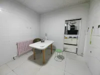 Urumqi County Shanyu Homestay