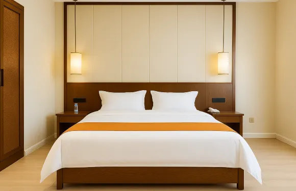 豐城東辰大酒店