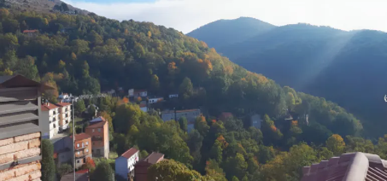 瑪麗亞阿姨酒店