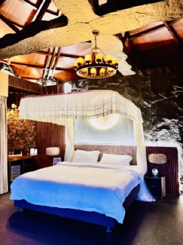 Forest 101 Hotels in 