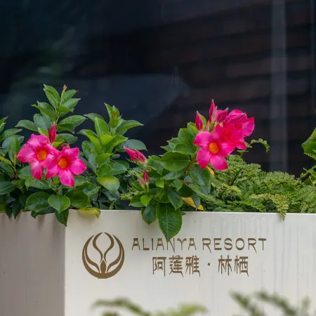Alianya Linxi Rainforest Resort Hotel (Xishuangbanna Mengla County Wangtianshu Scenic Area)