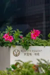 阿蓮雅林棲雨林リゾートホテル（西双版納モウ臘県望天樹景区）