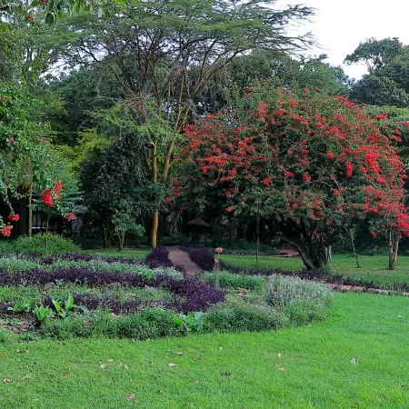 Mara Chui Eco-Resort