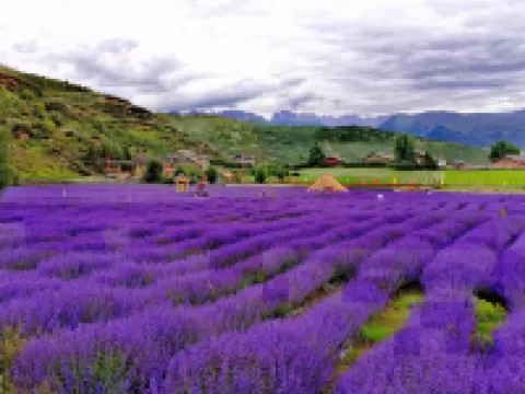 松潘仁閣天倫ホテル(川主寺空港) 九寨黄龍空港周辺のホテル