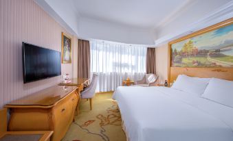 Vienna Hotel (Shenzhen Luohu Port Railway Station)