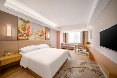 Vienna International Hotel (Shenzhen Pinghu Metro Station)