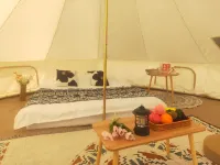 中衛悅享星辰沙景民宿