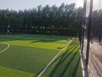 MGM Hotel (Kailin Plaza Branch ofZhengzhou High Speed Rail EastStation)