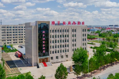 Ewenke Flag Camphor Pine Business Hotel Hotels in Ewenki Autonomous Banner