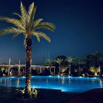 ·TANG · Gold Coast Pik Sea View Apartment Hotels near Mangrove Forest