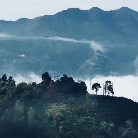 Nayun Homestay in Pingyang