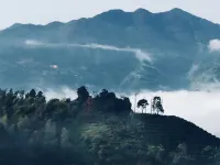 Nayun Homestay in Pingyang - con vistas a la montaña