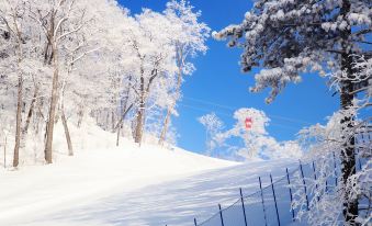 Hyatt Regency Changbaishan