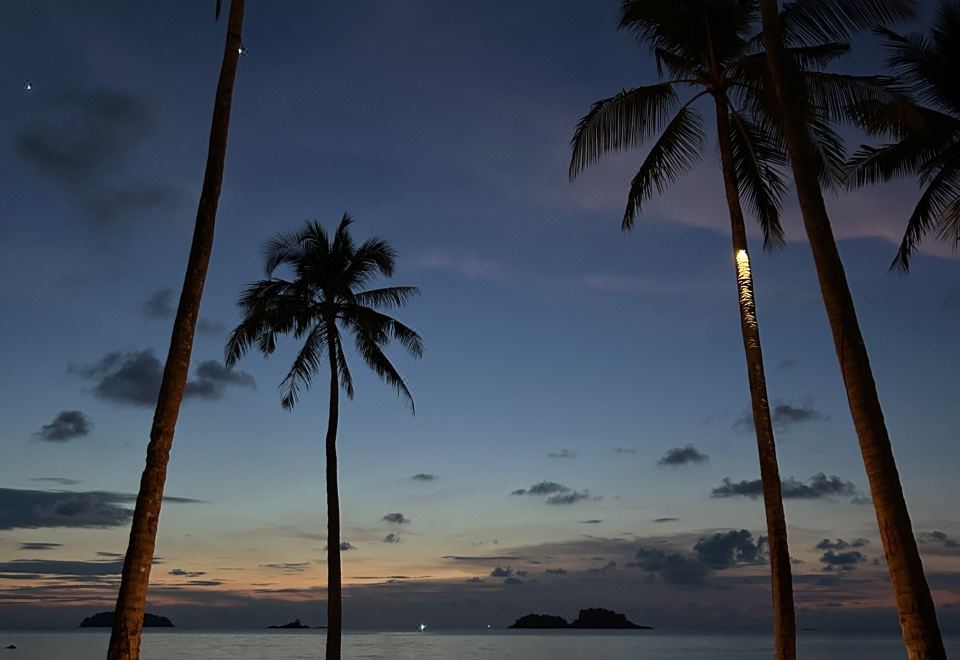 1. 더 에메랄드 코..