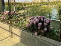 Home Inn Garden Hotel (South Railway Station, Bozhou) - balcony